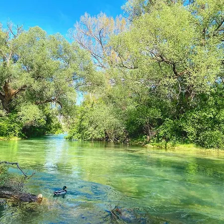 Tatil Evi Old Vineyard Estate